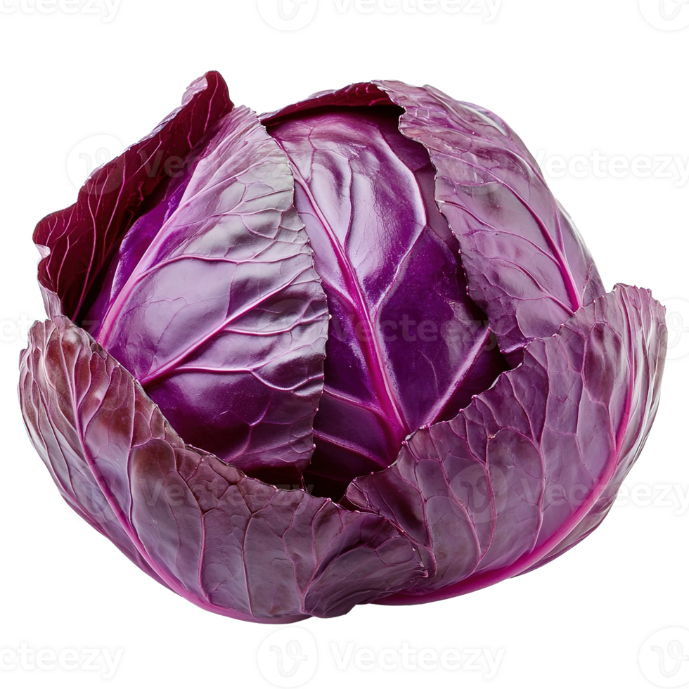 Red Cabbage (CT)