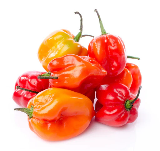 Habanero Peppers (1/2lb)