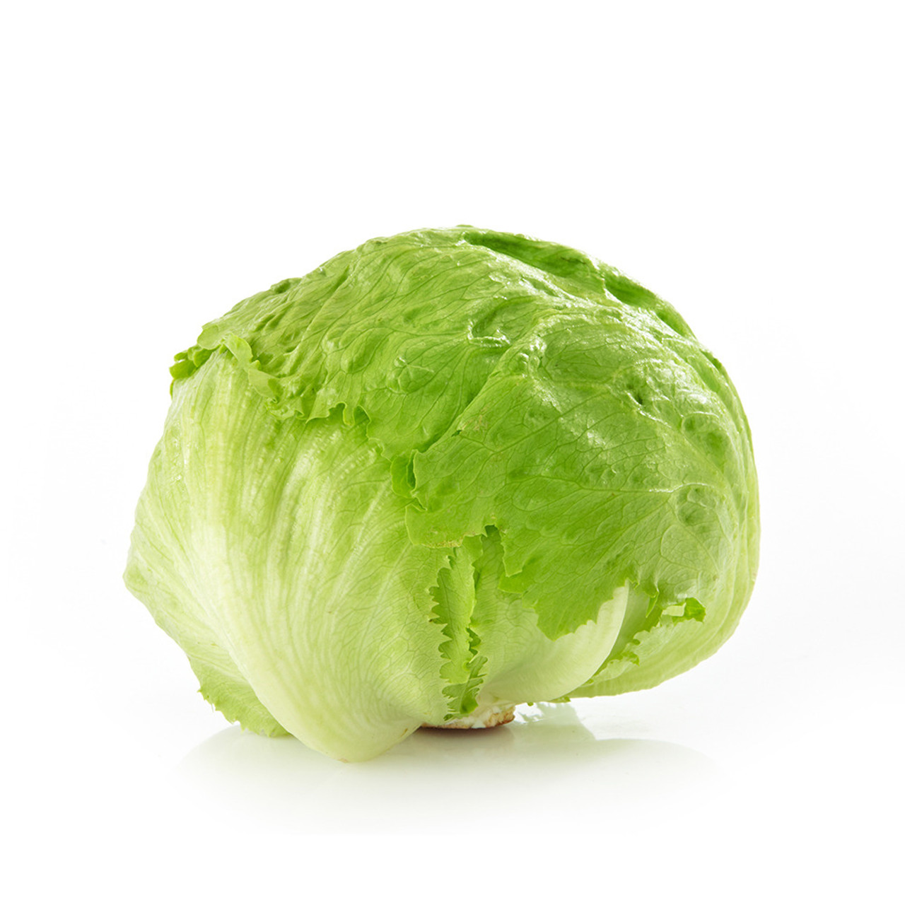 Iceberg Lettuce (1ct)