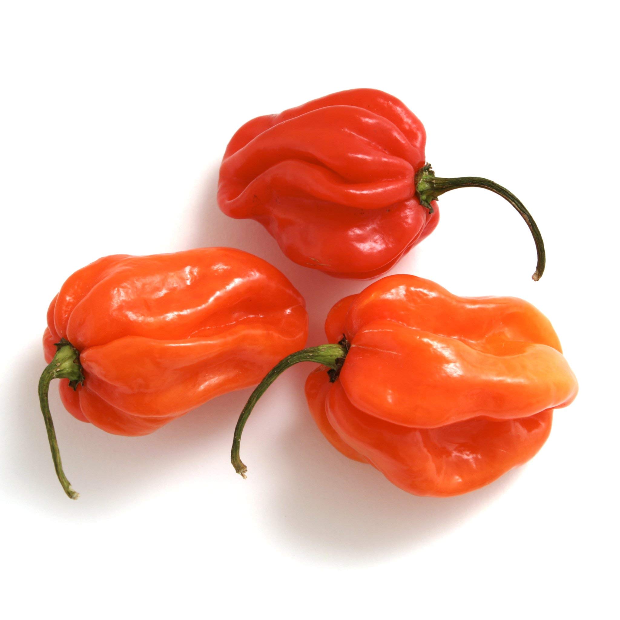 Scotch Bonet Peppers (1/2lb)