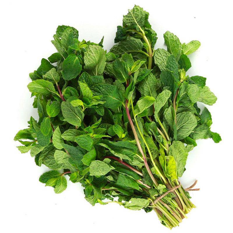 Mint Leaves